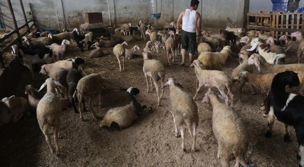 صورة ارشيفية