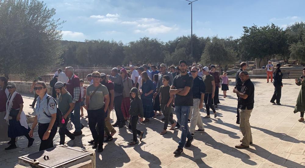 74866f25-7630-442c-8f4b-77c3b0e7e62b