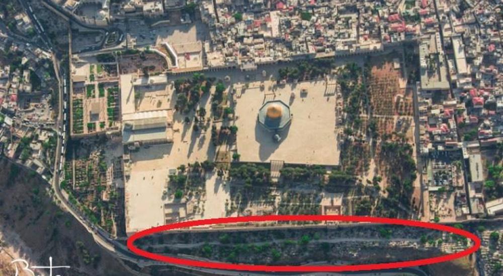 25151870_1517811631643483_7147898940399604617_n