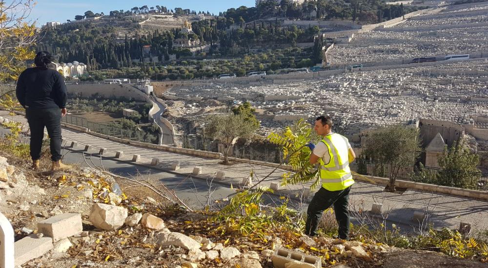 412ab23e-cd7c-47c8-af2f-4c4db5aef5d9