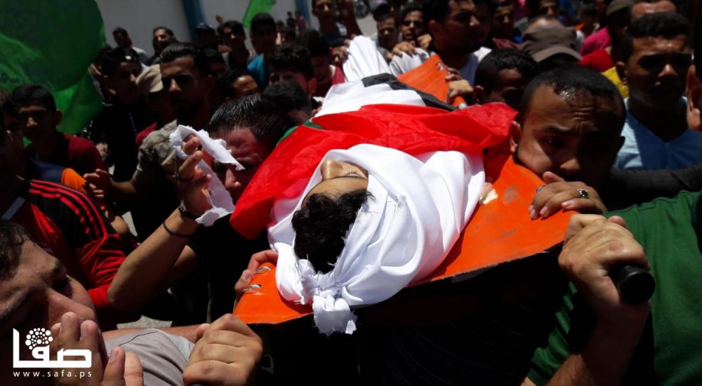 WhatsApp Image 2018-06-09 at 12.47.52 PM (1)