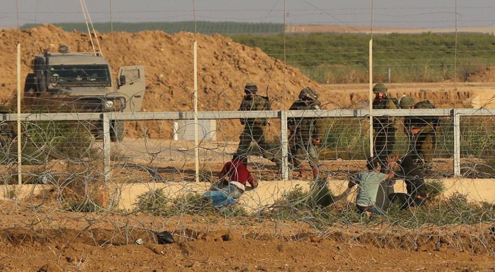 32482804_1786844091373037_4842609586546409472_n