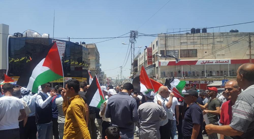 القرن جنين 3