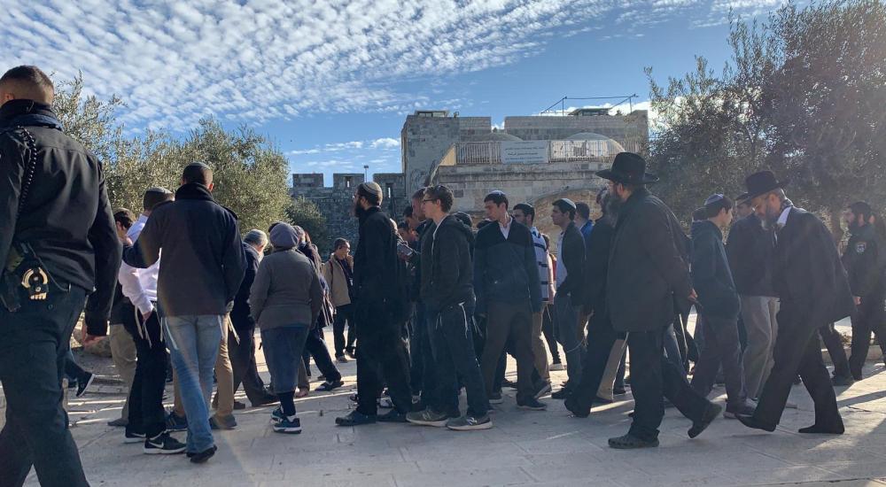 WhatsApp Image 2019-12-23 at 9.57.12 AM