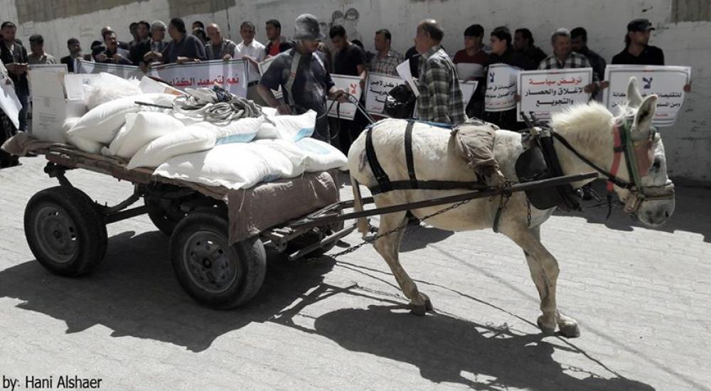 13161823_1081153501943681_1814086431773767442_o