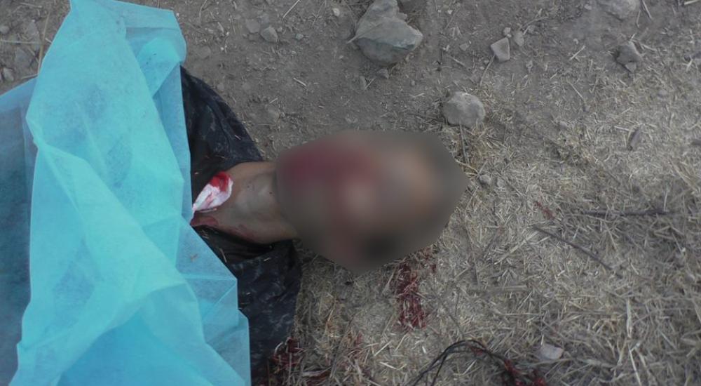 14642433_1132117986908340_1226391638700317467_n