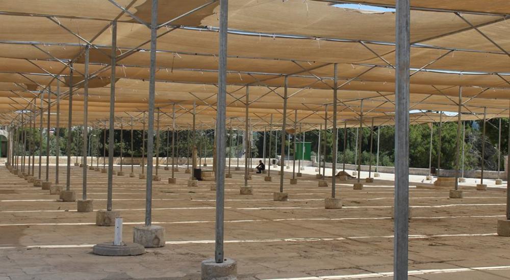 1499832_10155686101620416_1625553791_n