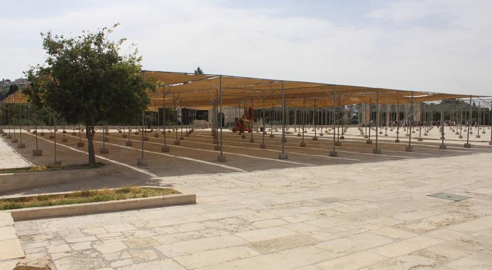 13240725_972582376189194_7863679220612206883_n