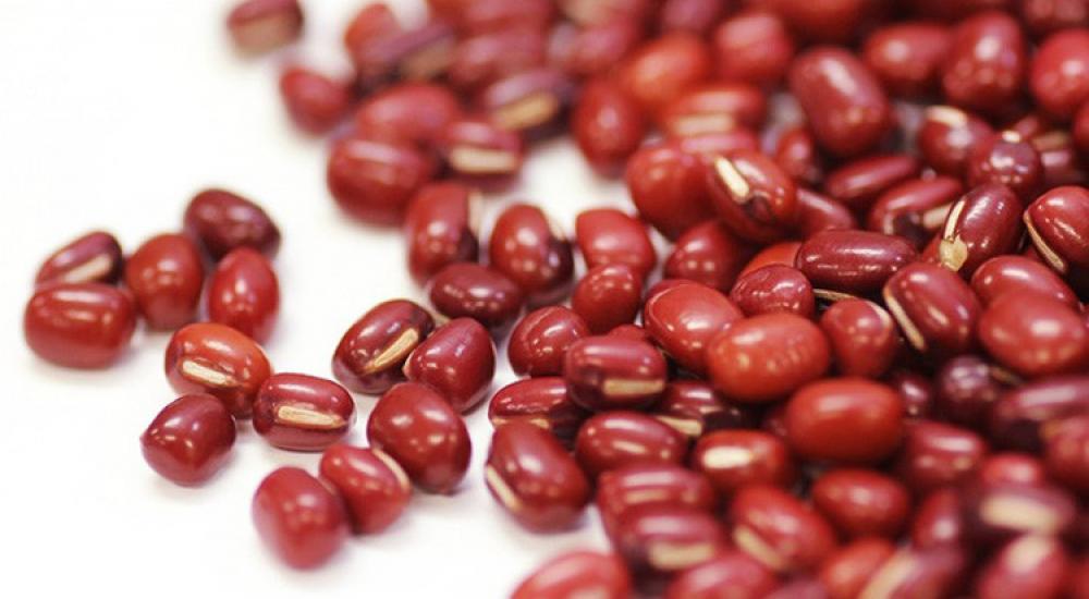 54ff0e77611e9b142b8b4586