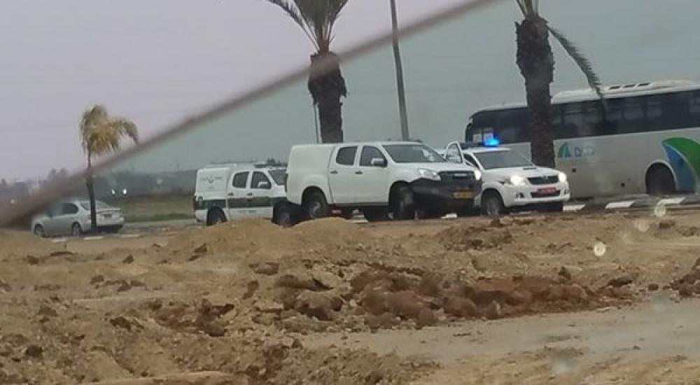 16708215_10208355748236328_6775730969259268102_n