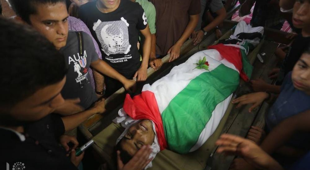 42384461_273972306780296_1653101966991032320_n