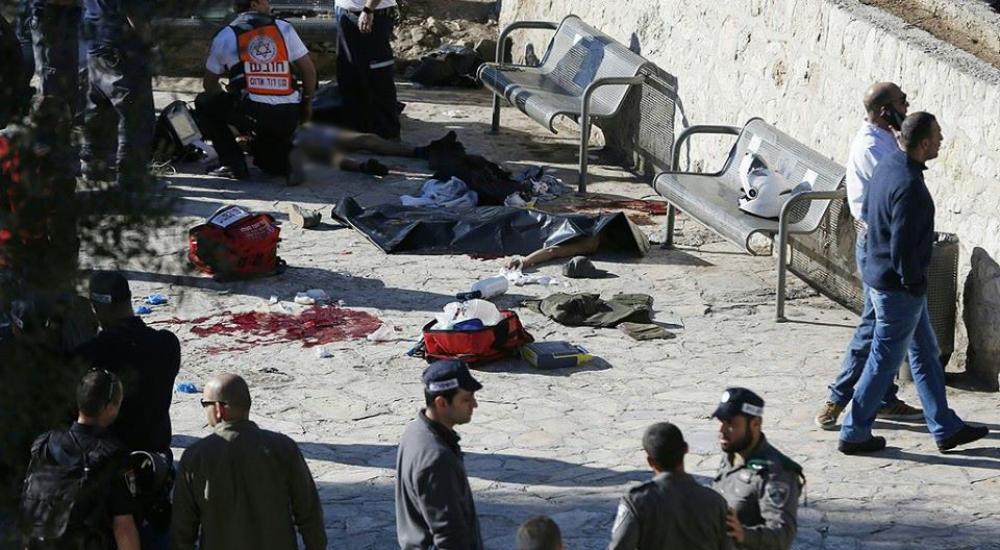 12670081_955606144475461_3218629078940710491_n