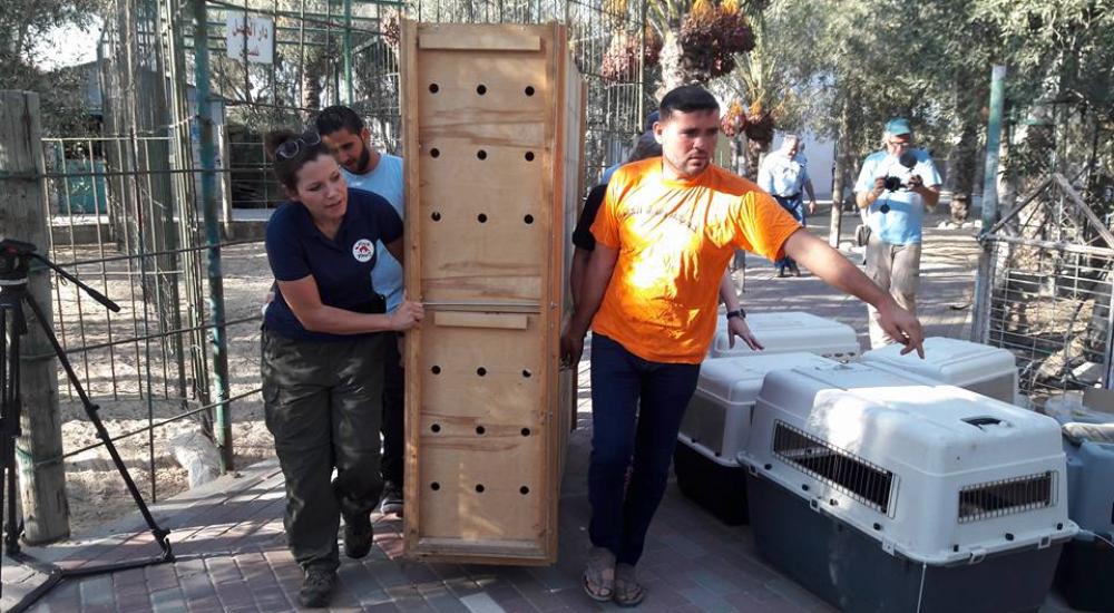 14095754_1154261577966206_1145831090491486520_n