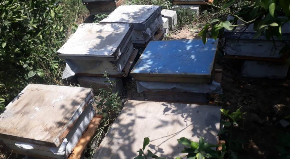 c06068f0-31a3-4ae4-bdd9-40e9bc42a411