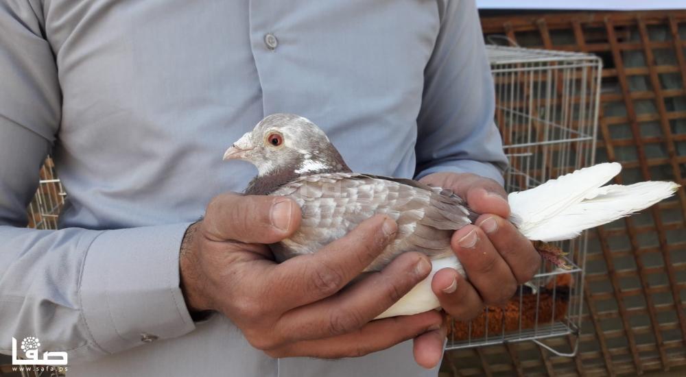 ae98ae71-52dc-4f82-8a6e-eea839c54e78