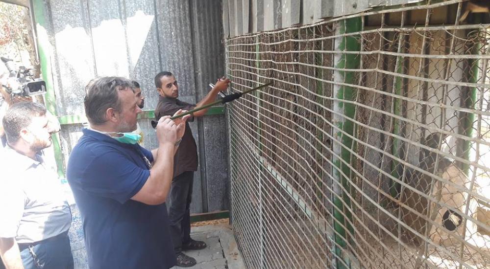 14079587_1154686061257091_2682230547041395419_n