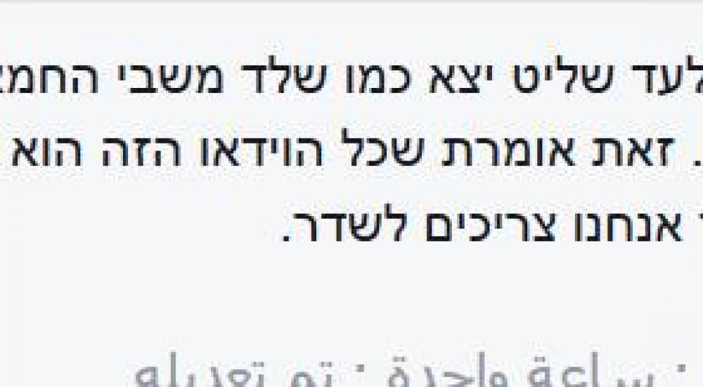 12459558_1498708290437830_190390867_n