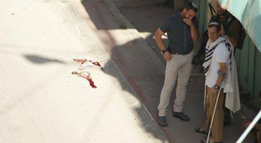 12118780_946177648769225_534548920000811980_n