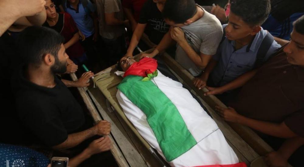 42301094_273972413446952_7021198452855930880_n