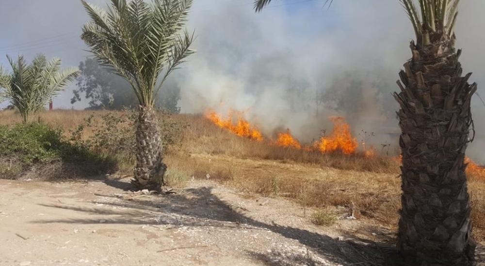 WhatsApp Image 2018-06-11 at 4.04.23 PM