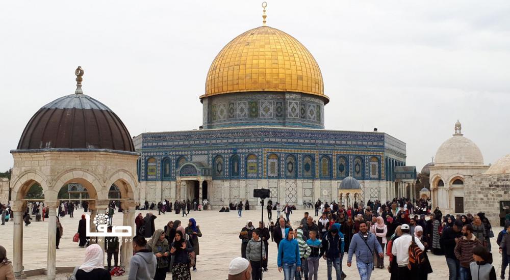 f56bd395-4560-4498-9543-8290aff0507c