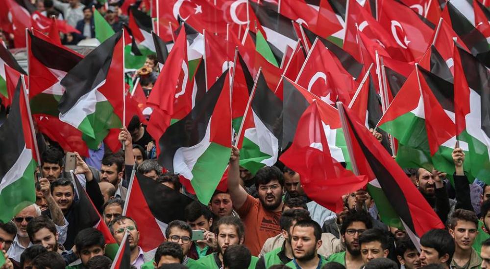 32215500_1764548290332968_8997910722243461120_n