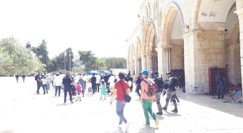 48cf0c23-c782-4eb5-9640-7080e6422d0c