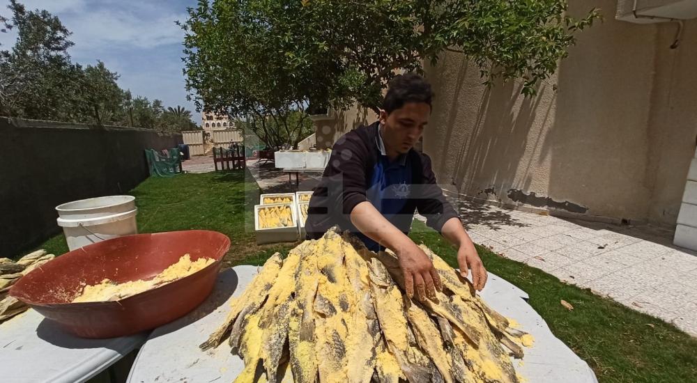 WhatsApp Image 2020-05-13 at 4.29.07 PM