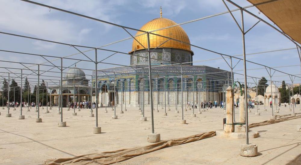 13178857_972581569522608_7713002925941651684_n