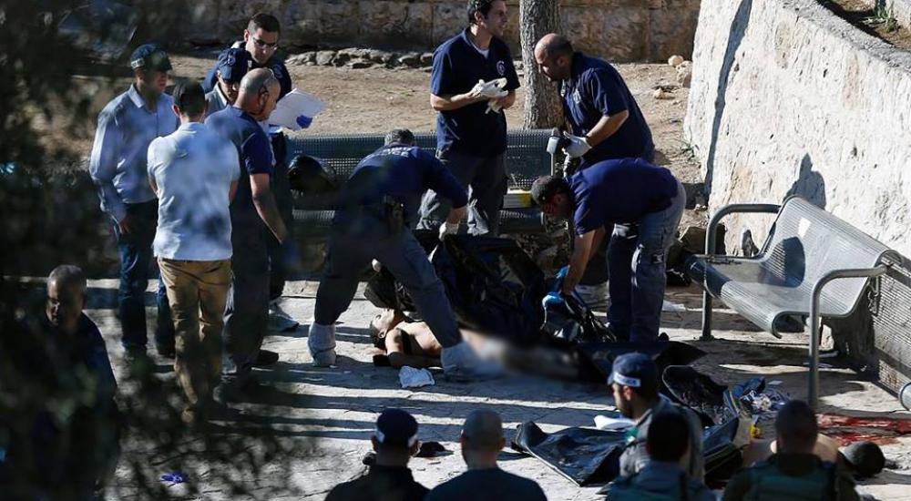 12643028_955606021142140_4316551161664033490_n