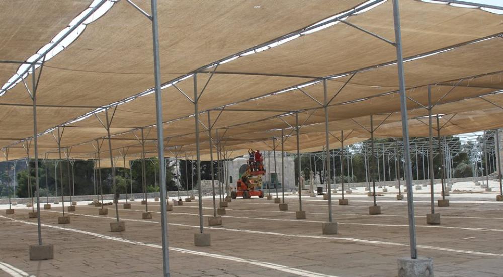 13241103_972581382855960_3641098213888840195_n