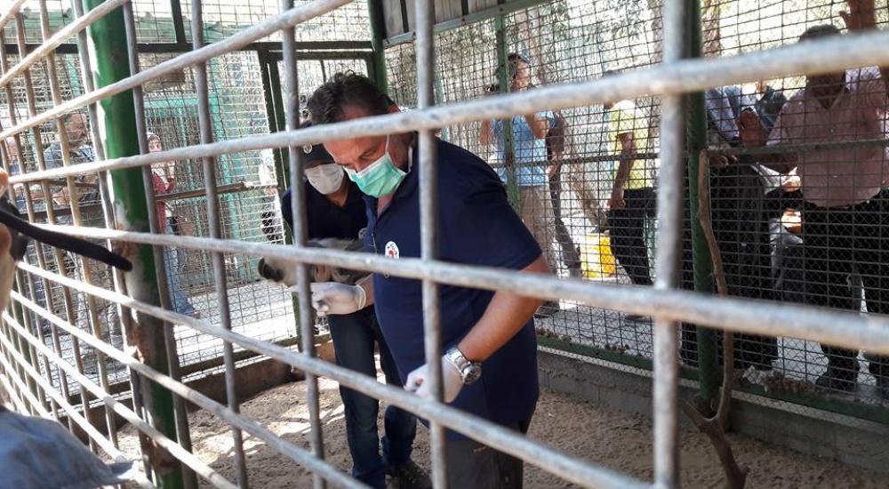 14046063_1154686011257096_8252588788472011196_n