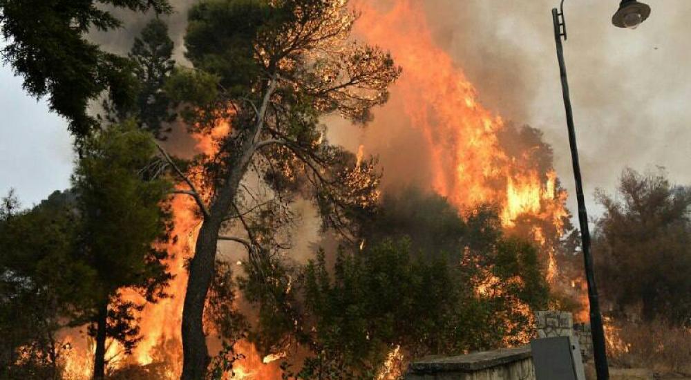 72325021_2406478599590947_4601056210592989184_n