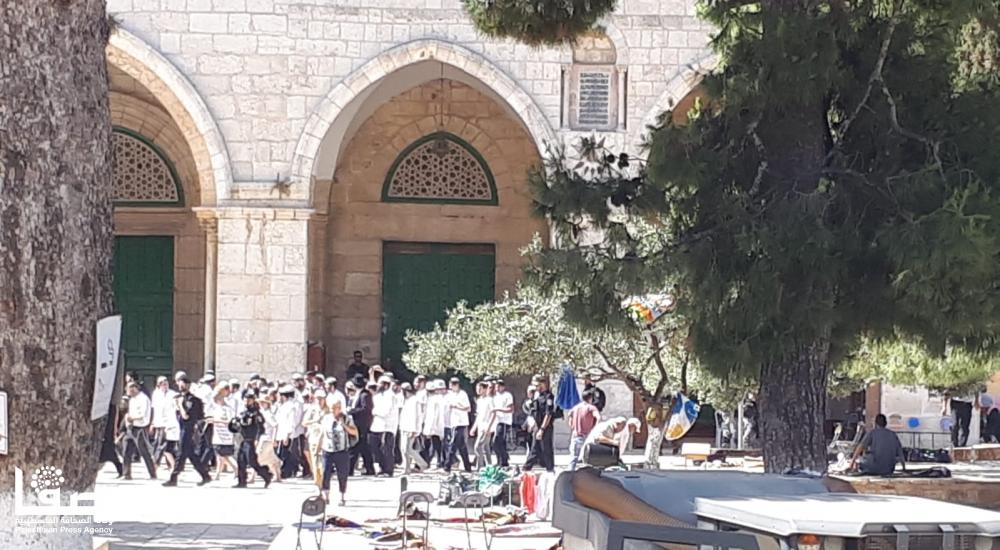 92339efc-e73c-47e3-a55c-b32268eadb91