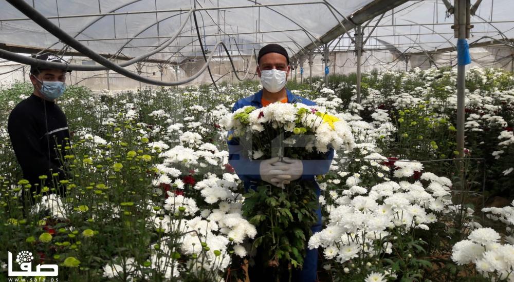 WhatsApp Image 2020-04-16 at 4.17.54 PM