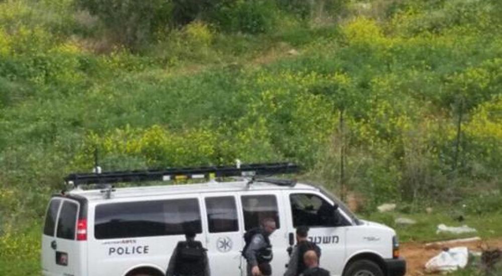 17105388_609957655880566_275382805_n