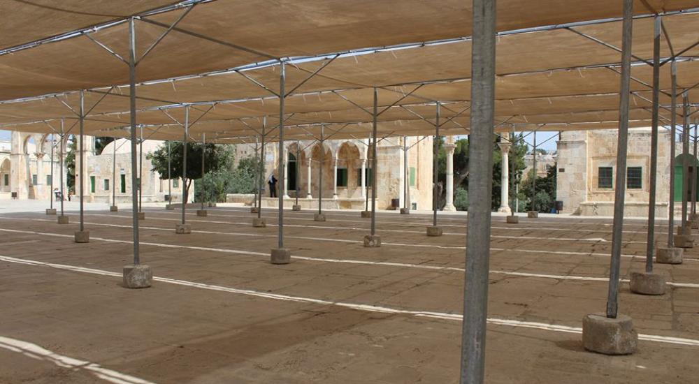 13245248_972582166189215_3227122200311609127_n