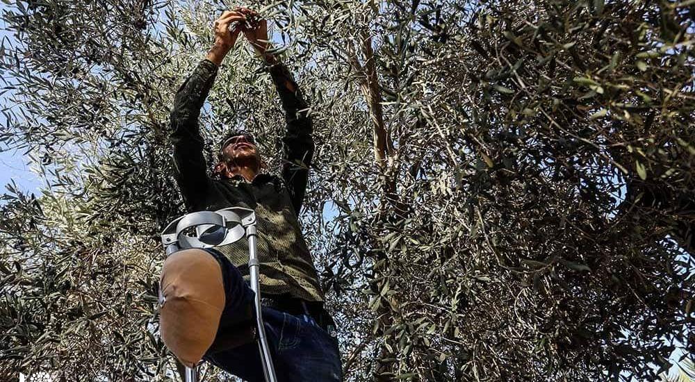 WhatsApp Image 2019-10-22 at 3.44.52 PM