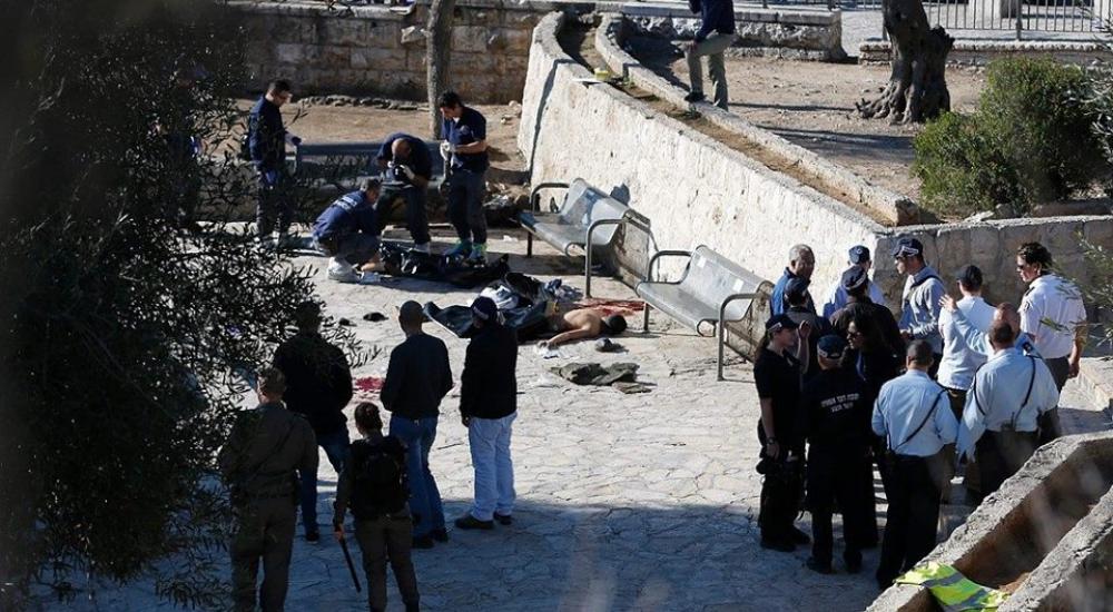 12662480_955606027808806_4131327575700866657_n