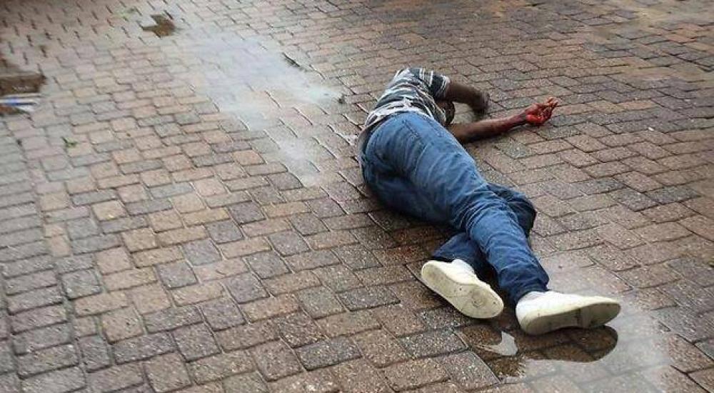 12674274_1508110806164245_1701141485_n