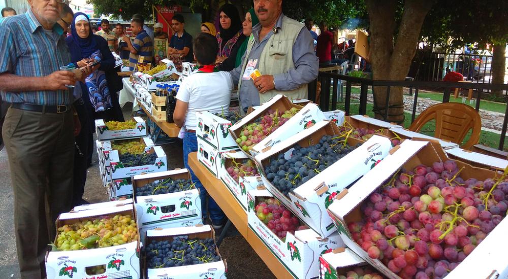 IMG_٢٠١٨٠٩٢٠_١١٠٤٢٠