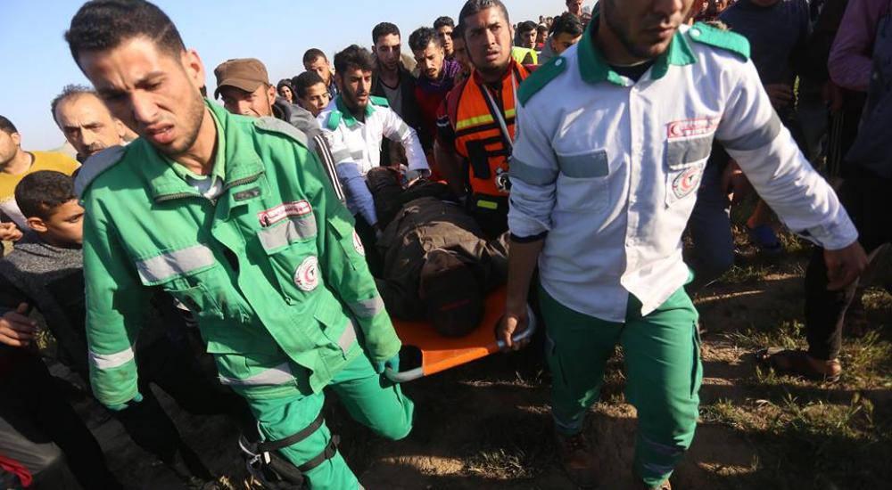 56897043_440420246727834_5310116291384705024_n