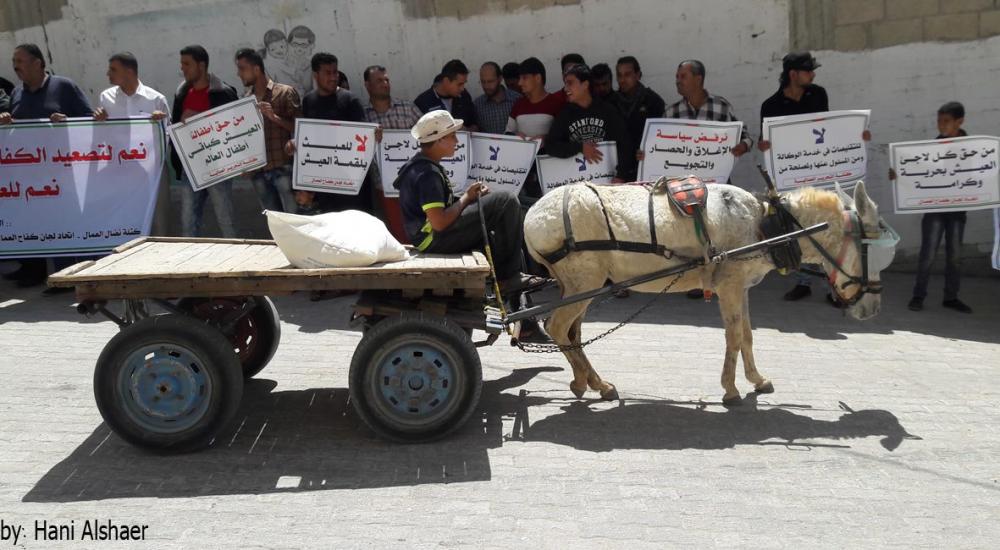 13130883_1081153691943662_8400560940177602066_o