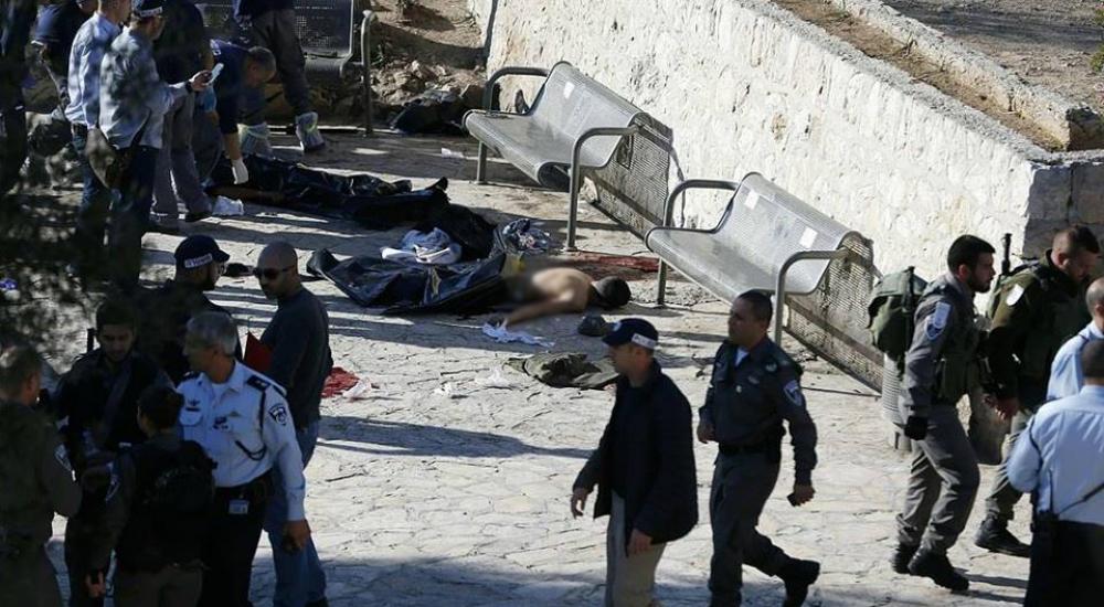 12654238_955606024475473_8221258744186251065_n