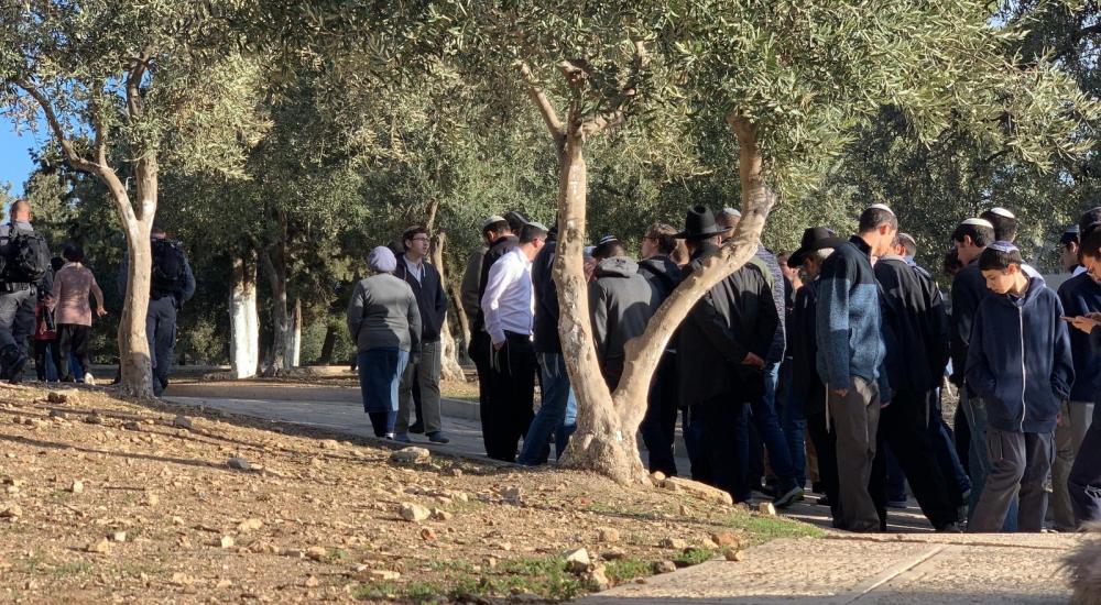 WhatsApp Image 2019-12-23 at 9.57.13 AM (1)