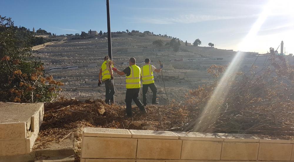 f92d526d-bc59-43a6-a9ce-5b8c9346ce02