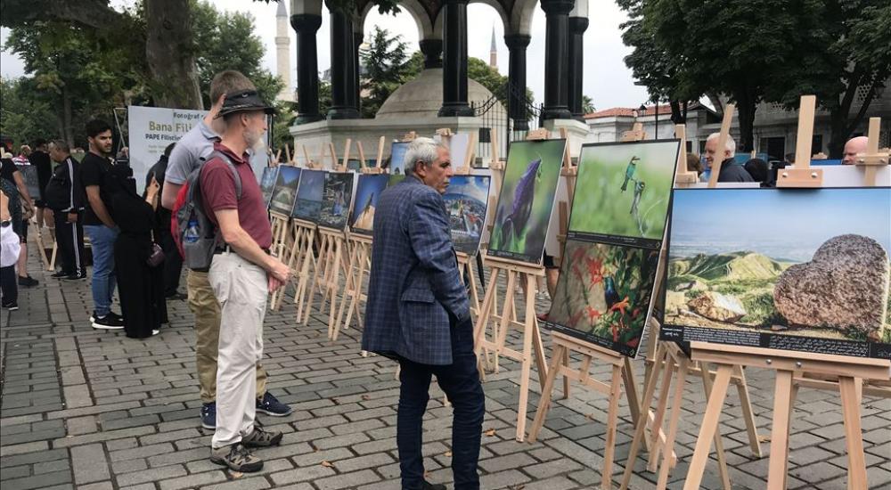 thumbs_b2_63417f0b4478573666193ed0917e6ecc