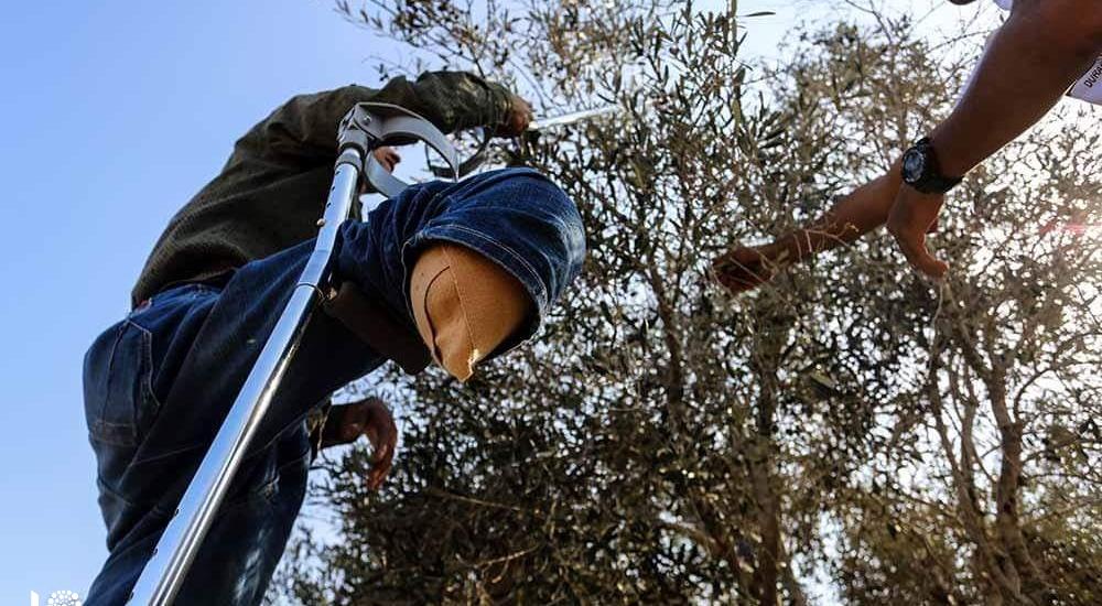 WhatsApp Image 2019-10-22 at 3.44.48 PM