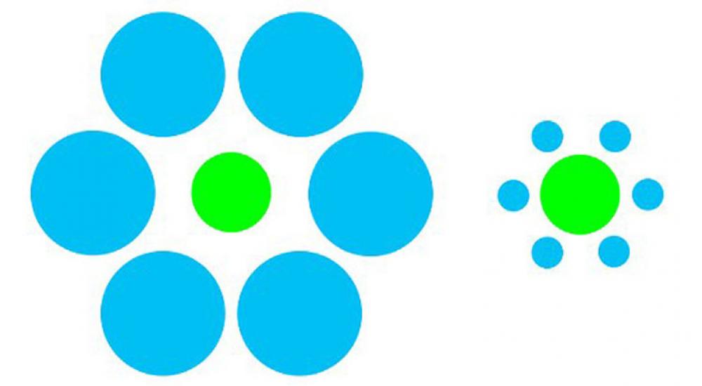 الخدع البصرية تكشف سمات مشتركة بين عقول البشر والأسماك