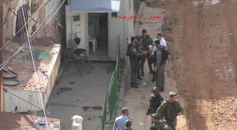 1001030_756199471177765_5469219349640293462_n